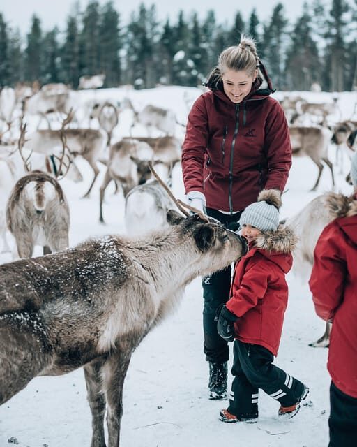Kuusamo: Reindeer Farm Visit - What to bring: the small stuff that protects your comfort