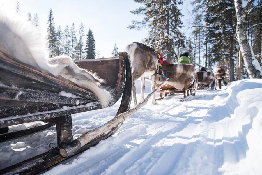 Kuusamo: Reindeer Sleigh Ride and Farm Visit - Kuusamo and Kujala Reindeer Farm: why this feels real