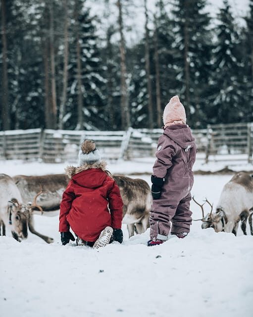 Kuusamo: Reindeer Sleigh Ride and Farm Visit - The 1.5 km sleigh ride: warm, scenic, and not too long