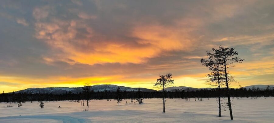 Lapland: Private Snowmobile Safari with arctic Local Guide - Luosto Lapland Snowmobile Safari: Private, small-group, VIP-style