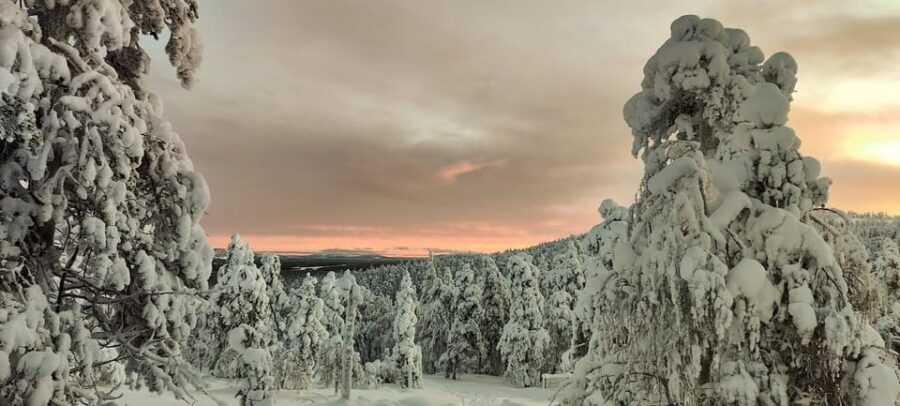 Lapland: Private Snowmobile Safari with arctic Local Guide - Meet Ville and Sanna: the local family touch you feel immediately