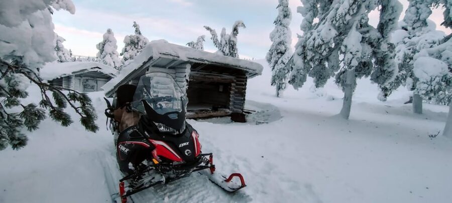Lapland: Private Snowmobile Safari with arctic Local Guide - Into Pyhä-Luosto National Park: what the route sets you up for