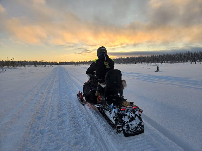 Lapland: Private Snowmobile Safari with arctic Local Guide - The break by the fireplace: warm drinks and real comfort