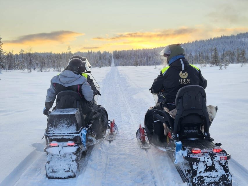 Lapland: Private Snowmobile Safari with arctic Local Guide - Extra stops that can happen: reindeer-farm warmth and photo moments