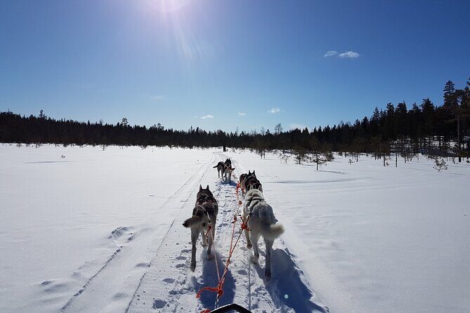 Lapland Reindeer and Husky Safari from Levi - Dressing for subzero days: thermal outerwear is on you
