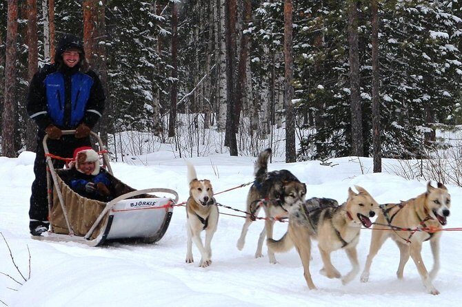 Lapland Reindeer and Husky Safari from Rovaniemi - Who this safari is best for