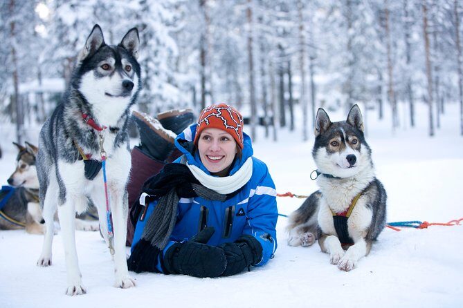 Lapland Reindeer and Husky Safari from Rovaniemi - Husky park and the 2km sled ride, plus petting time