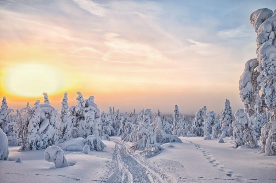 Lapland: The Frozen Waterfalls of Korouoma Tour - Should you book the Korouoma frozen waterfalls tour?