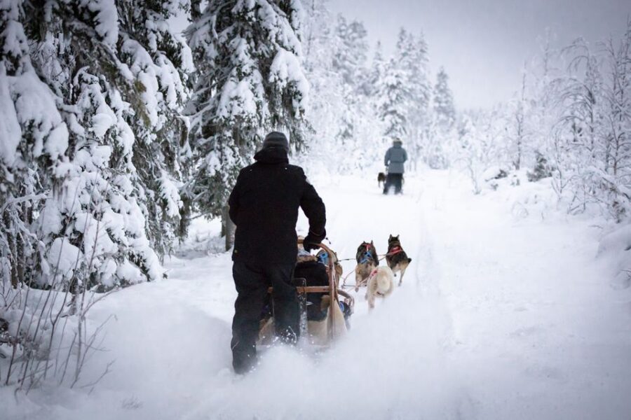 Levi: 7 km Self-Drive Husky Sledding Adventure - The 7 km Route: Steering, Quiet Speed, and a Photo Moment