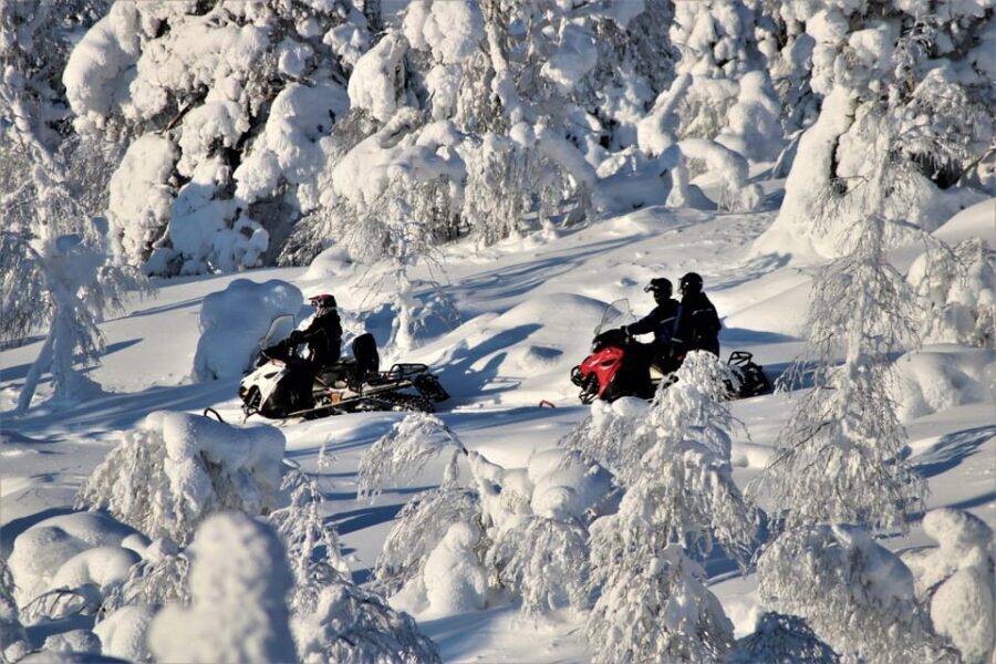 Levi: Easy Snowmobile Safari into the Nature - How The 2 Hours Unfold in Levi (and Why It Feels Like a Real Safari)