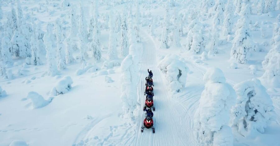 Levi: Easy Snowmobile Safari into the Nature - Driving Time Reality: Sharing One Snowmobile vs. The 55€ Single-Driver Option
