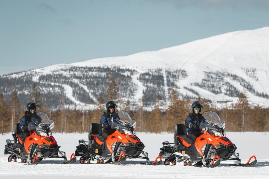 Levi: Easy Snowmobile Safari into the Nature - Cold-Weather Prep: Winter Clothing Included, But Dress Like You Mean It