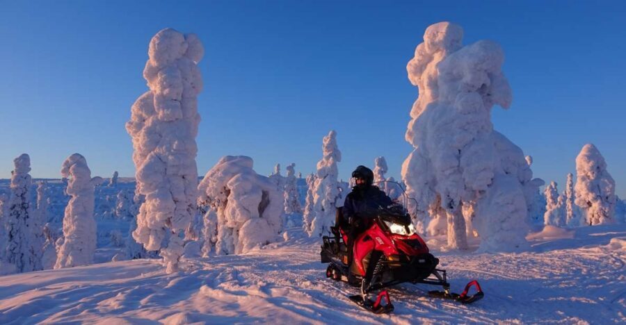 Levi: Evening Snowmobile Safari - Why This Evening Levi Snowmobile Safari Feels Like the Real Thing