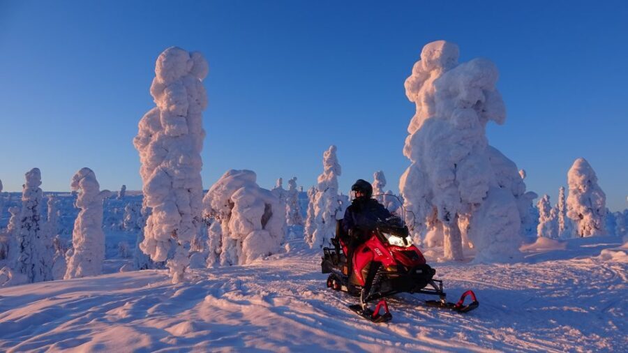 Levi: Evening Snowmobile Safari - Northern Lights Chances: How Guides Manage Expectations and Timing