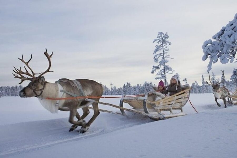 Levi: Lapland Reindeer and Husky Safari - Kittilä safety briefing and the secret photo stop: how the pacing works