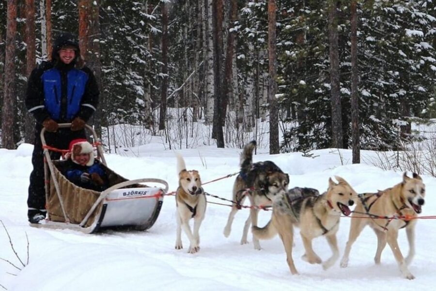Levi: Lapland Reindeer and Husky Safari - How the short distances add up to a real value story