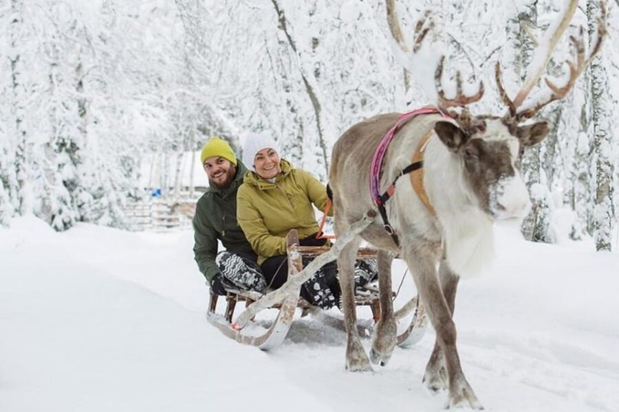 Levi: Lapland Reindeer and Husky Safari - The hot berry drink and Sami-style storytelling: why this stop is more than a snack
