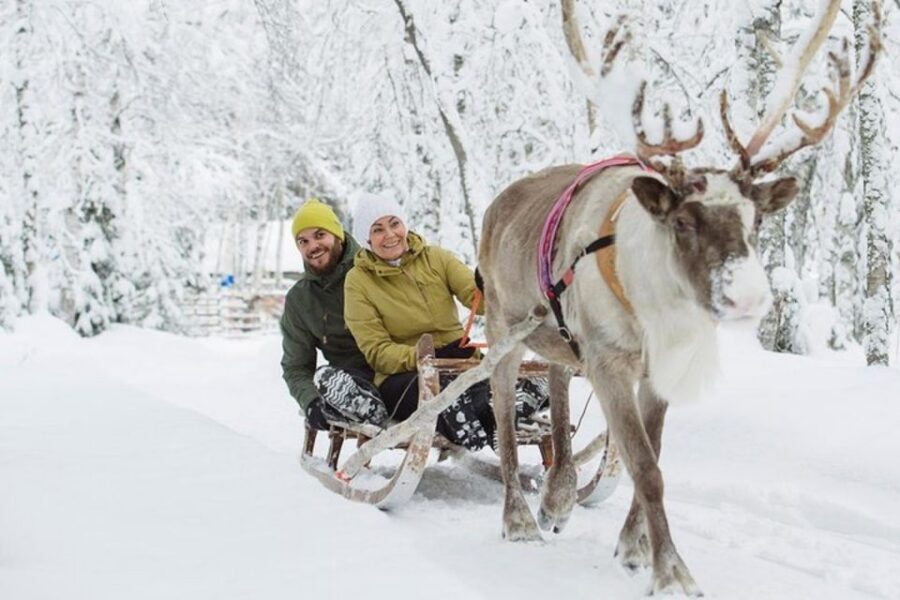 Levi: Lapland Reindeer Safari - The 1-Kilometer Sled Ride Through Snowy Forests
