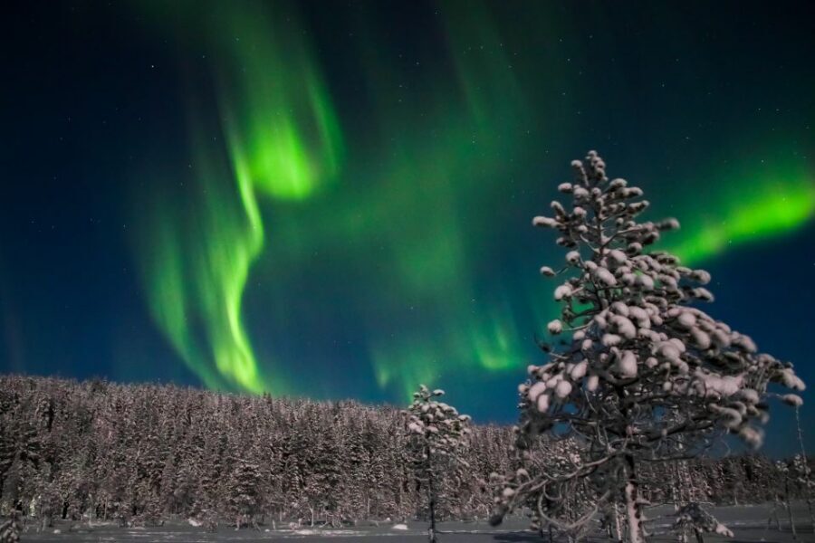 Levi: Northern Lights Campfire - Key Highlights That Matter in Real Life