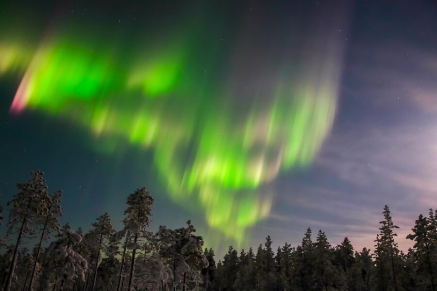 Levi: Northern Lights Hunting Photo Tour - Key Highlights You’ll Actually Care About