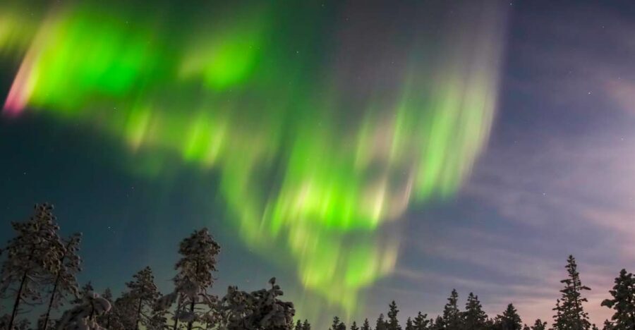 Levi: Northern Lights Hunting Photo Tour - Hot Drinks, Gingerbread, and the Real Reason Guides Keep You Focused