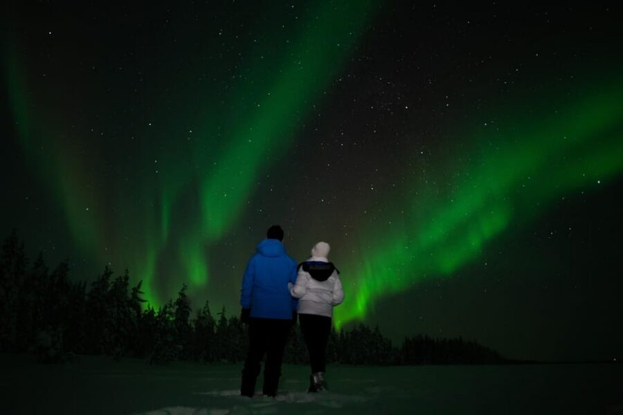 Levi: Northern Lights Sledge Ride - Entering Levi’s Dark Arctic Night on a Sledge
