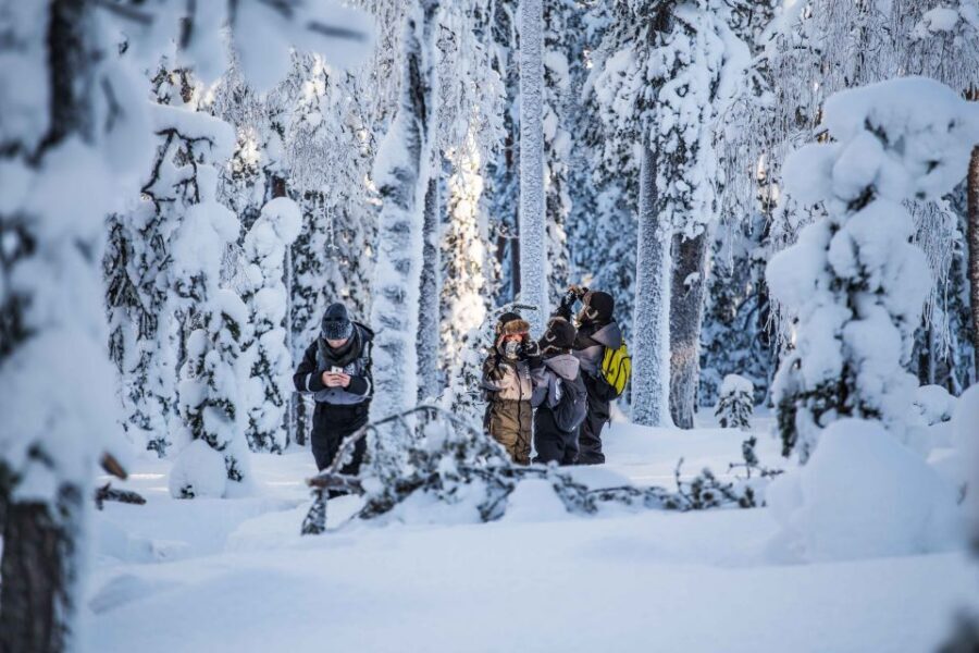 Levi: Pallas National Park Adventure with Pro Photos & BBQ - Key highlights worth planning for