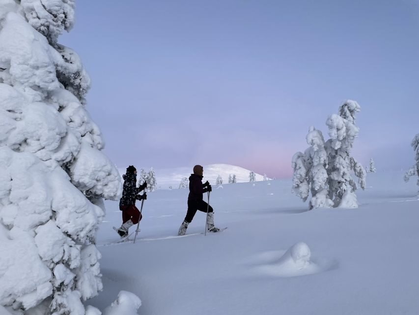 Levi: Pallas-Yllästunturi National Park Snowshoeing Tour - What you’re really seeing: arctic mountains, snowy trees, and silence