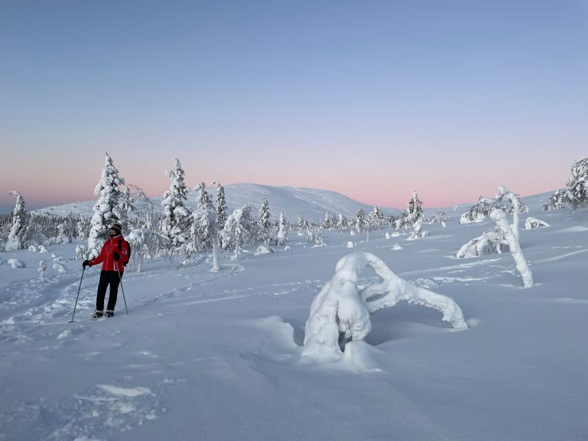 Levi: Pallas-Yllästunturi National Park Snowshoeing Tour - Guide style and pacing: what to expect on the move