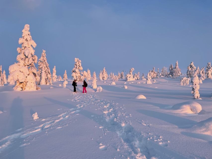 Levi: Pallas-Yllästunturi National Park Snowshoeing Tour - Should you book this Levi snowshoeing tour?