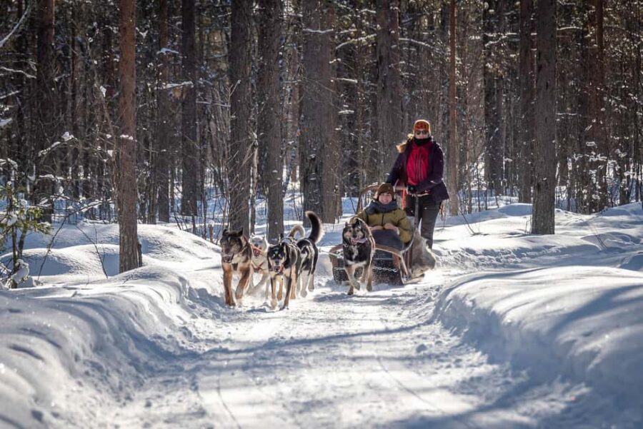 Levi Polar Lights Tours: Reindeer and Husky Taster - Meeting at Levi Center (Hissitie 11) and the easy transport flow