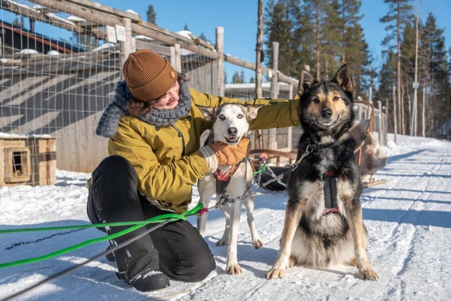 Levi Polar Lights Tours: Reindeer and Husky Taster - Timing reality: darkness and waiting can change how you feel about it