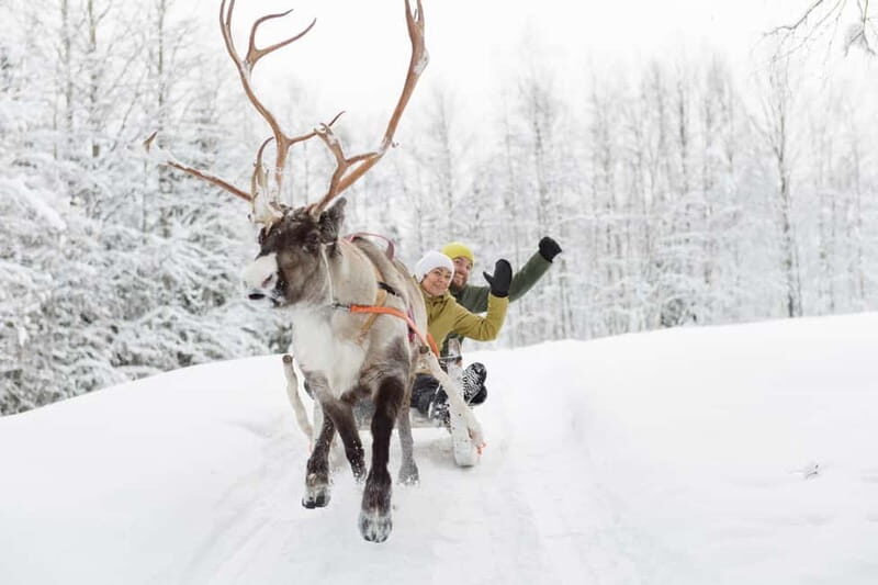 Levi: Reindeer Experience with Sled Ride - Biscuits and hot juice: the warmth break that actually matters