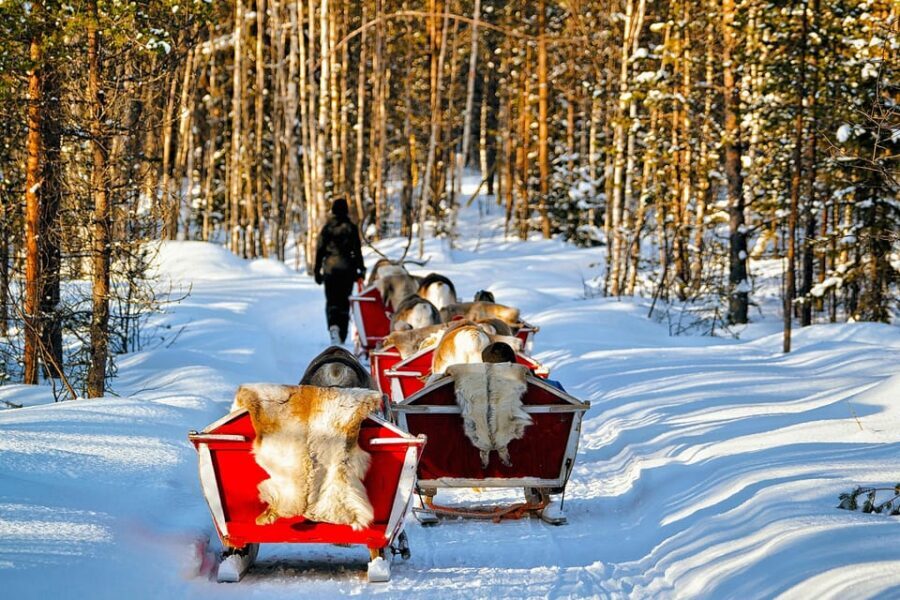 Levi: Reindeer Sleigh Ride Tour in Snowy Forest - Where you start: Levi Center meeting point and the short coach ride