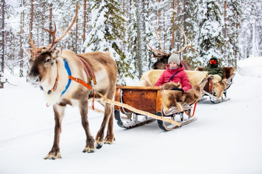 Levi: Reindeer Sleigh Ride Tour in Snowy Forest - Local snacks and the warm reset by the campfire