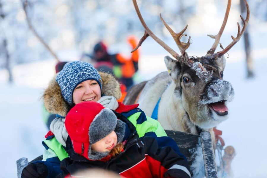 Levi: Reindeer Sleigh Ride Tour in Snowy Forest - Who should book this reindeer sleigh ride