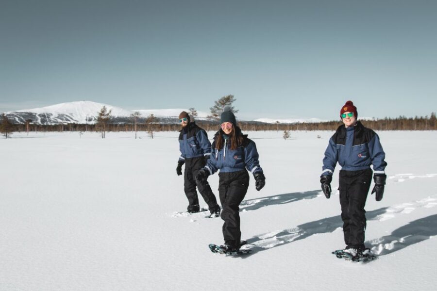Levi: Scenic Levi Snowshoe Trip - Price and Value: Is $104 Worth Two Hours in Levi?