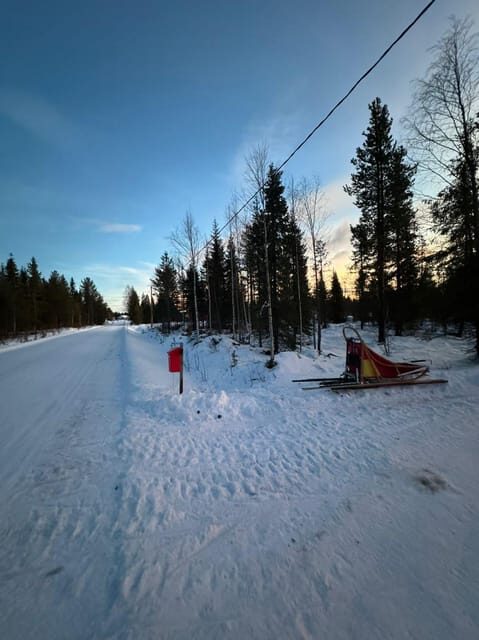 Levi: Self-Drive 2 KM Husky Sledding Experience - Timing and group size: why the hour can feel tight