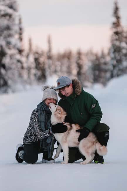 Levi: Self-Drive 2 KM Husky Sledding Experience - The self-drive 2 km sled: what you control and what the guide handles