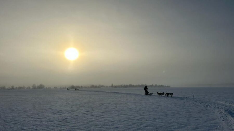 Levi: Self-Drive 5 KM Husky Sledding Experience - Self-Drive Husky Power in Levi: What 5 km Really Means