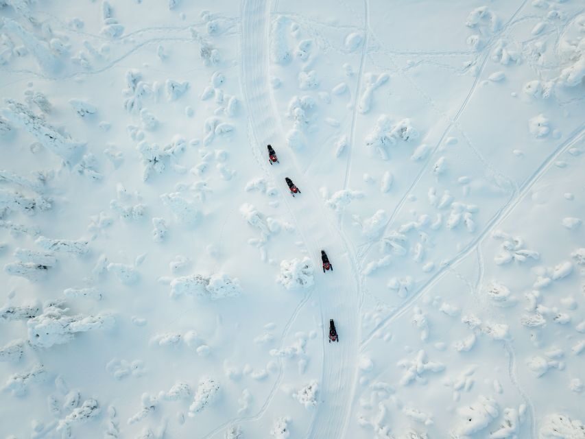 Levi: Snowmobile Safari for Adults - Winter Clothing Included: Comfort Is Part of the Experience