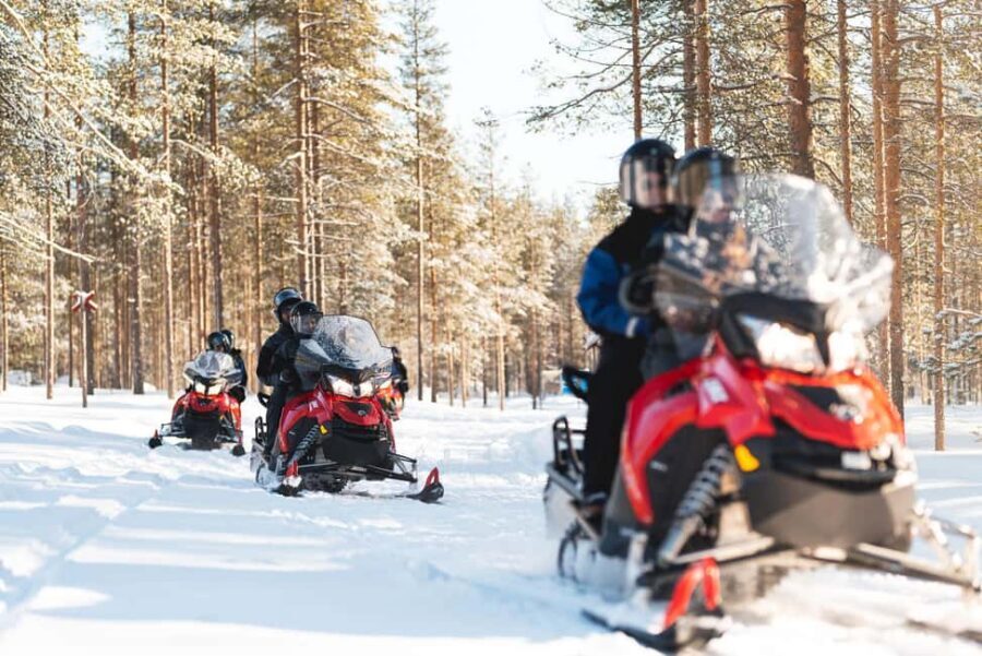 Levi: Snowmobile Safari to the Levi Nature - Quick hits before you go