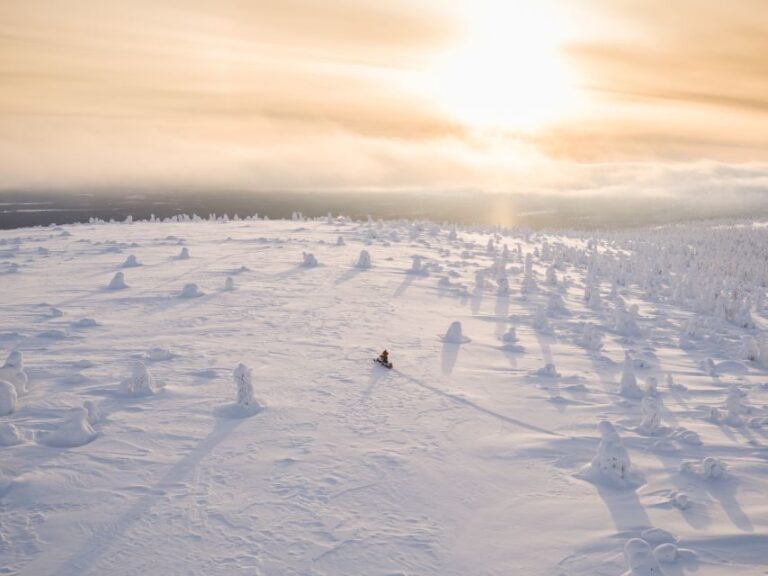 Levi: Snowmobiling Adventure - On the Trail in the Levi Area: Forests, Frozen Lakes, and Photo Pitstops