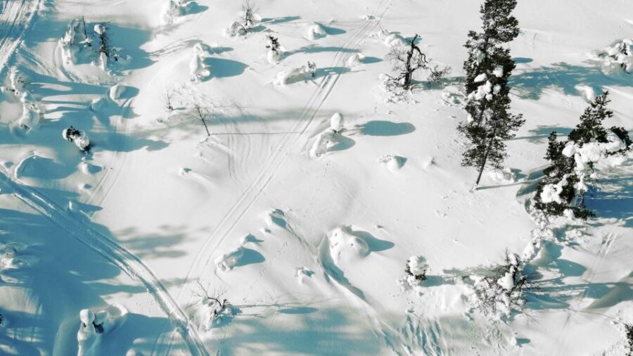 Levi: Snowshoe Adventure in the Wilderness - Key points to know before you go