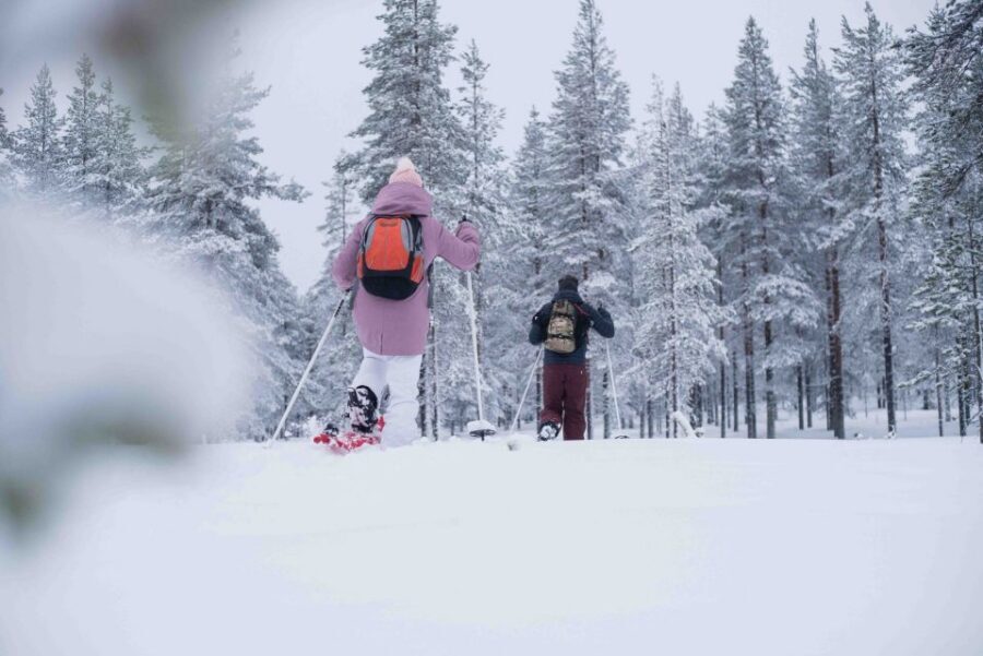 Levi: Snowshoe Adventure in the Wilderness - Should you book this Levi snowshoe adventure?