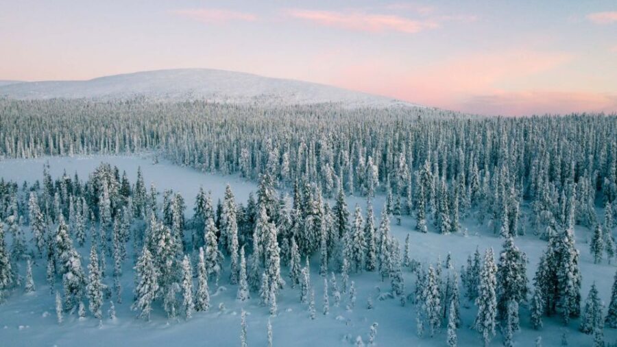 Levi: Snowshoe Adventure in the Wilderness - Photography coaching in the Arctic: what you practice on the hike