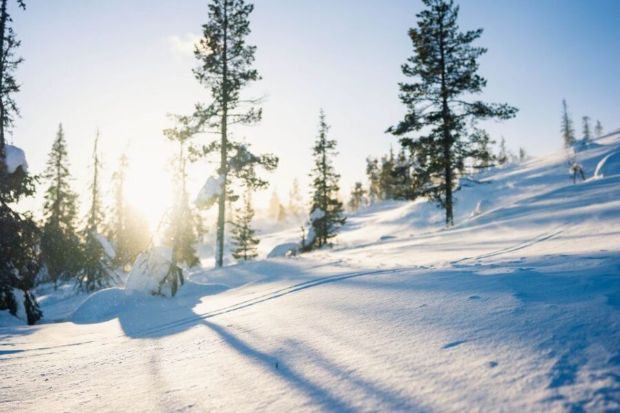 Levi: Snowshoe Adventure in the Wilderness - What the 3.5 hours really adds up to