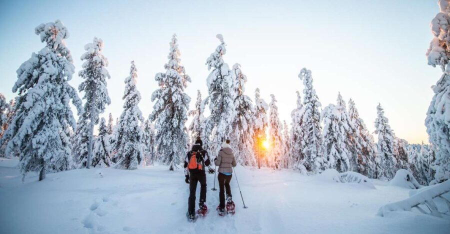 Levi: Snowshoe Adventure in the Wilderness - Who should book (and who should skip) this snowshoe + photo tour