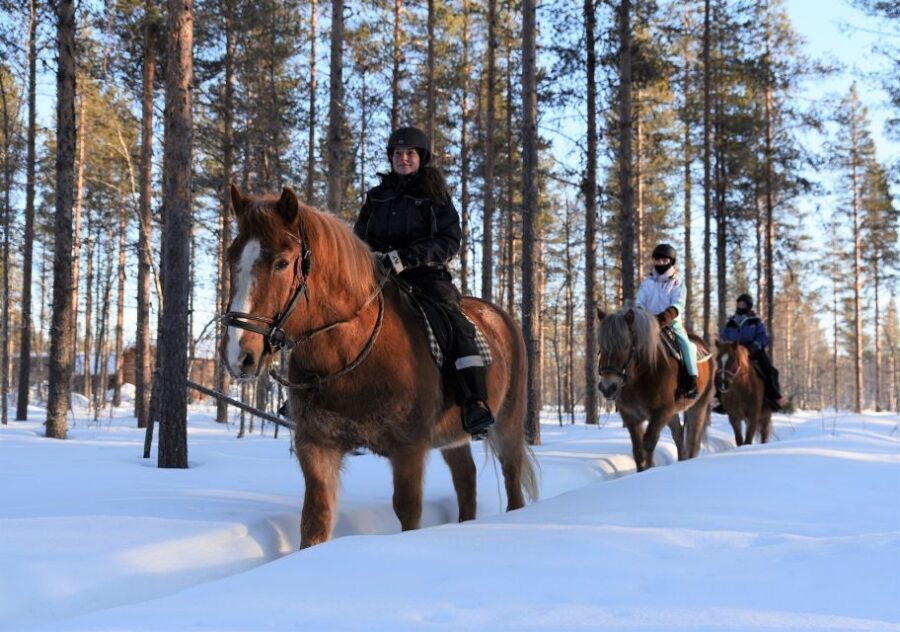 Levi: Snowy Forest Ride and Polar Lights Tours - Key things I’d bet on before you book