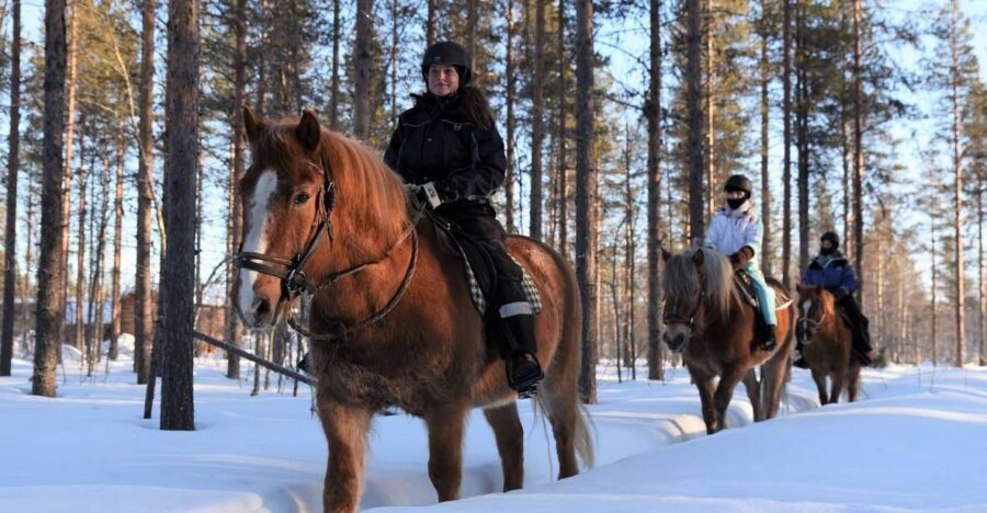 Levi: Snowy Forest Ride and Polar Lights Tours - Entering Levi’s winter world: how this ride starts